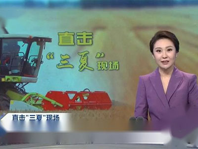 農(nóng)戶不花一分錢(qián)“一條龍”服務(wù) 推進(jìn)秸稈離田